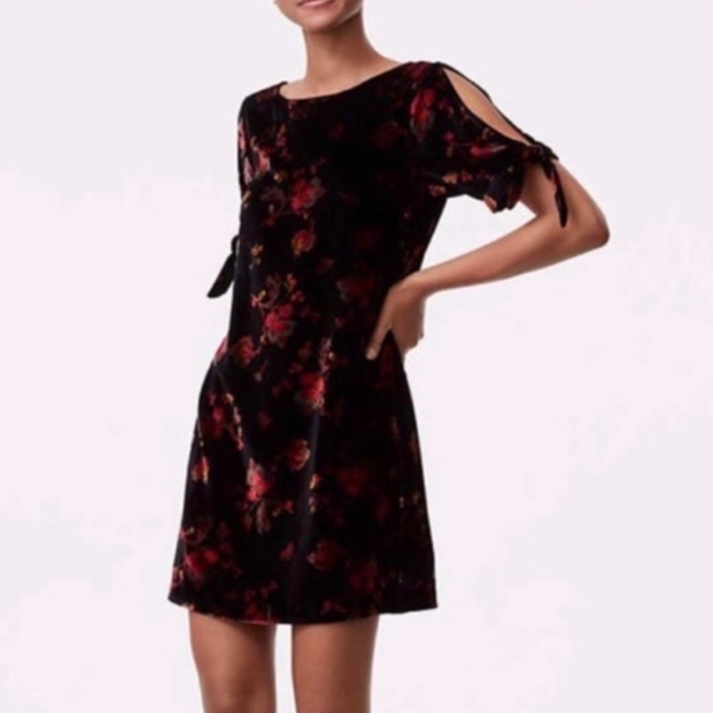 Loft Velvet dress
